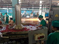 В марте 2012 года в Краснодарском крае планируется запуск консервного завода